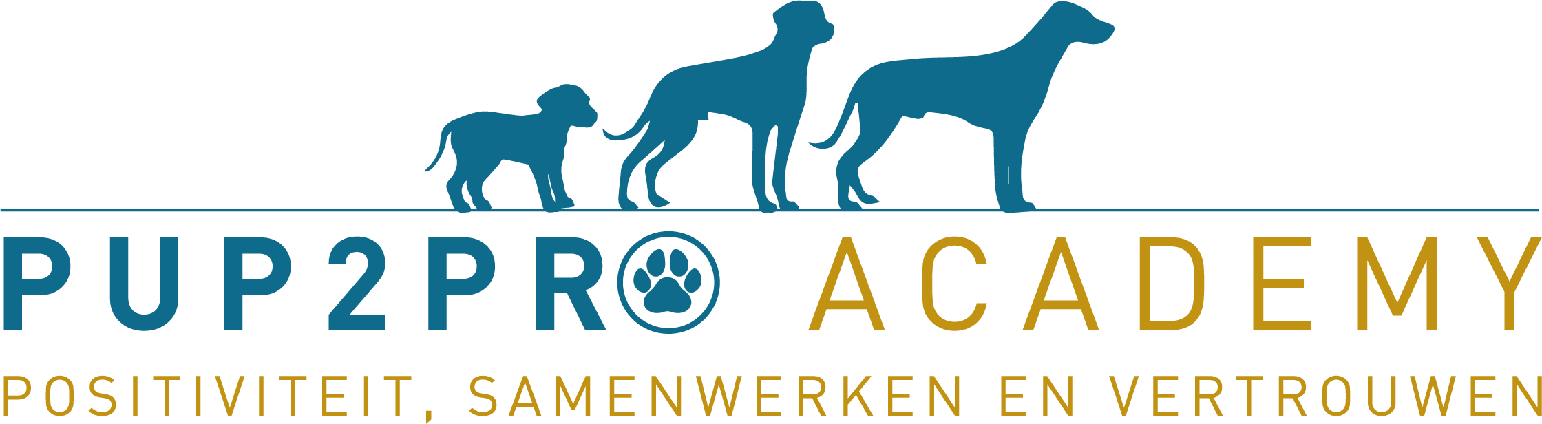 Logo pup2pro academy - positiviteit, samenwerken en vertrouwen