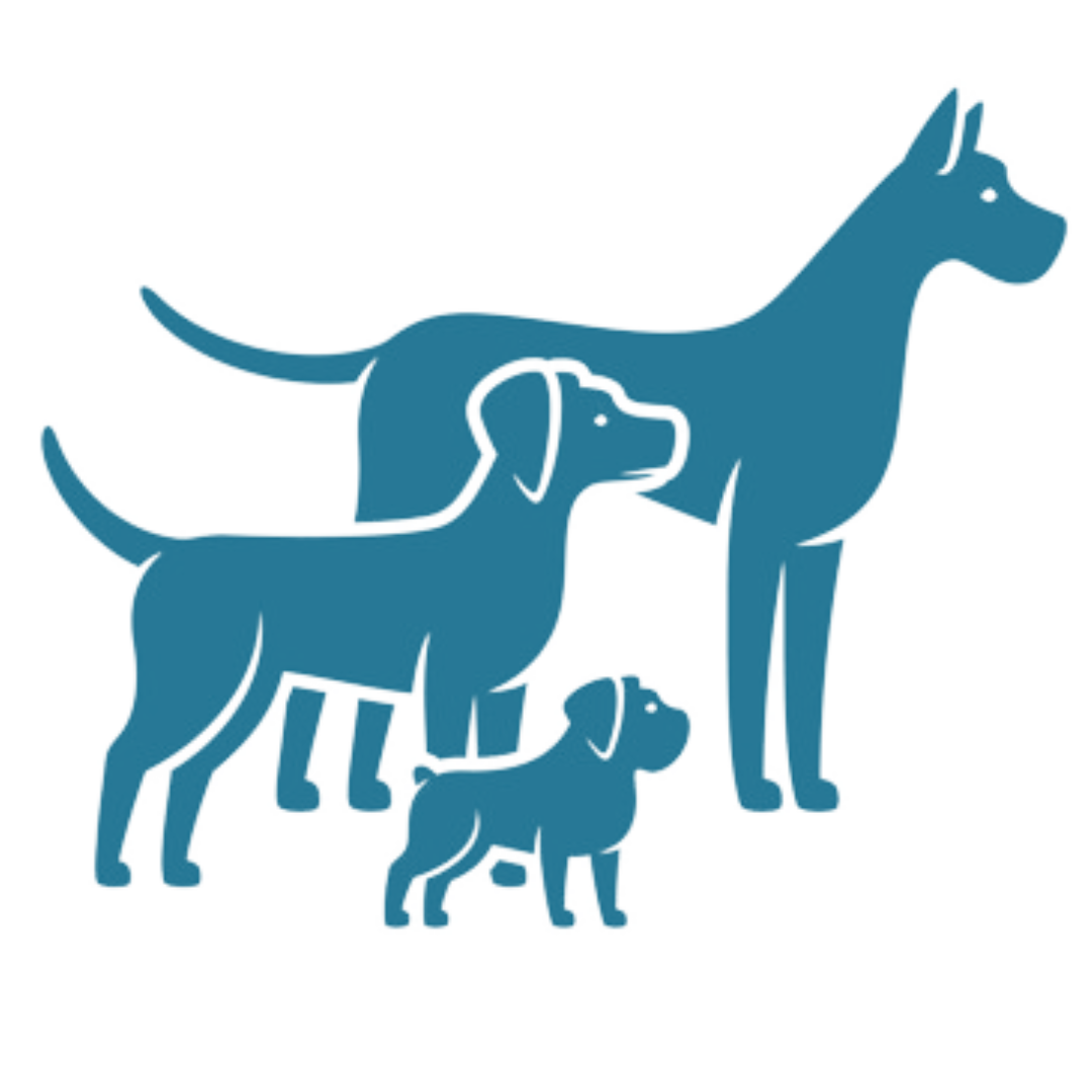 pictogram van drie honden. Pakketlessen voor honden in een groep. Van pup tot pro: begeleiding op maat.