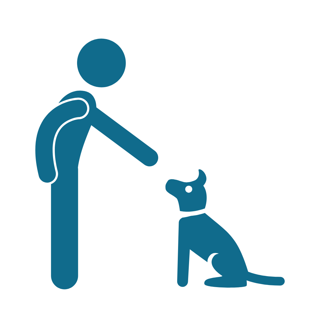 pictogram van hond die moet zitten. Van pup tot pro: begeleiding op maat.