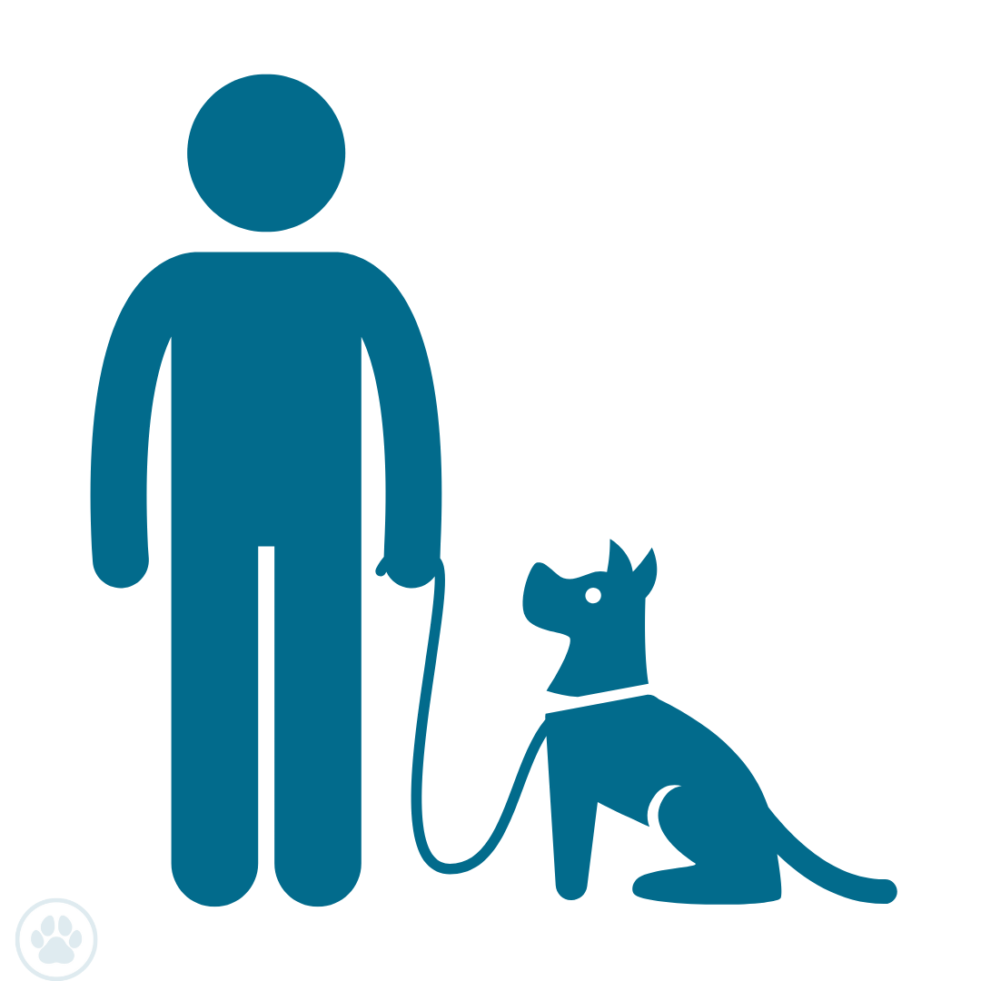 pictogram van zittende hond aan de lijn. Van pup tot pro: begeleiding op maat.
