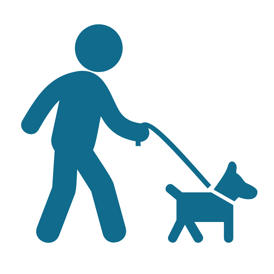 pictogram van hond aan de lijn. Socialisatie wandeling. Van pup tot pro: begeleiding op maat.