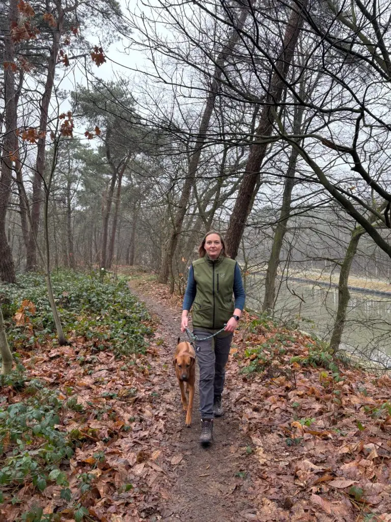 Socialisatiewandeling voor honden en baasjes