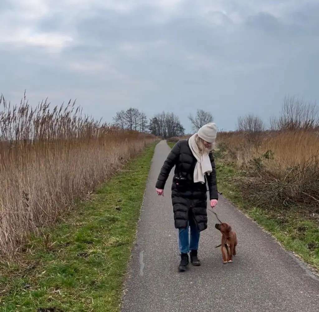 Socialisatiewandeling voor honden en baasjes