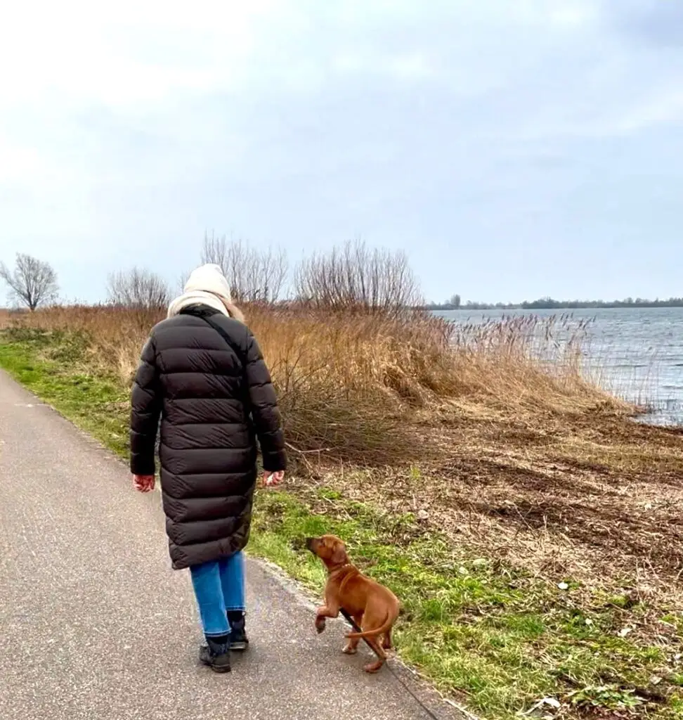 Socialisatiewandeling voor honden en baasjes