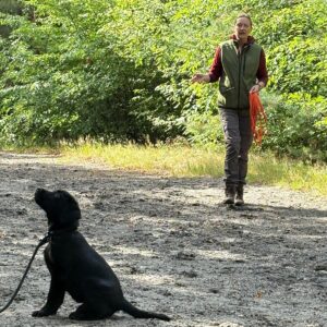 Pakketlessen puppy en puber training