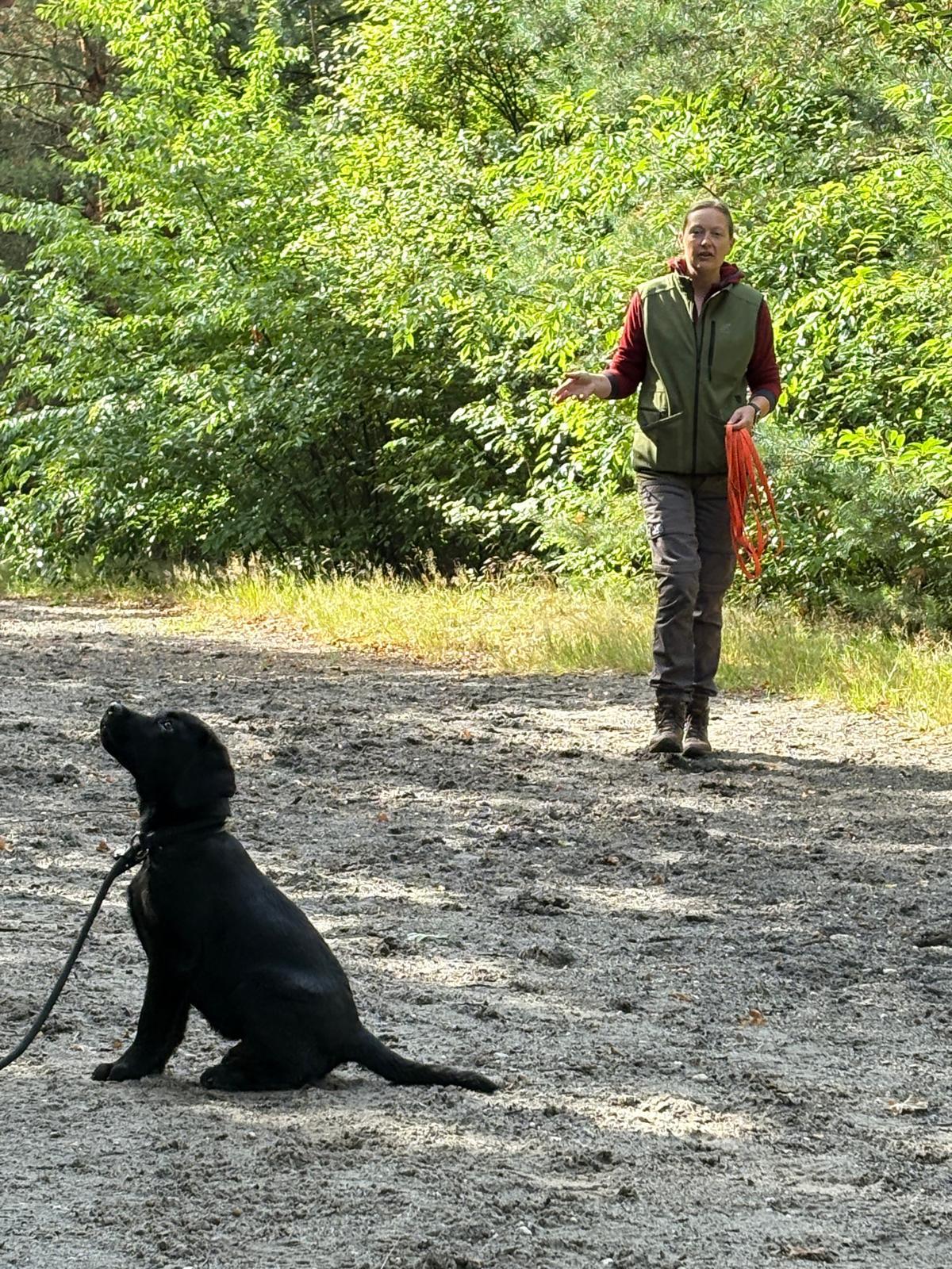 Esther in training
