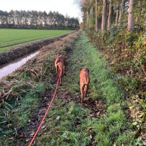 On tour Drenthe wandeling